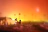 Chemical Sunset