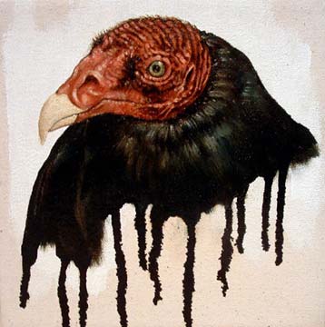 Vulture Vulture