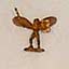 Anges en or