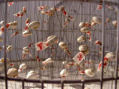 Escargots en cage Escargots en cage
