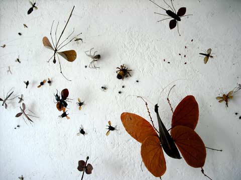Invasion in Ollioules, 2009 Invasion in Ollioules, 2009