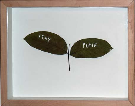 STAY PUNK STAY PUNK