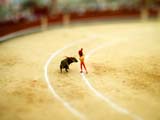 mini bullfight same cruelty bydutchbOy