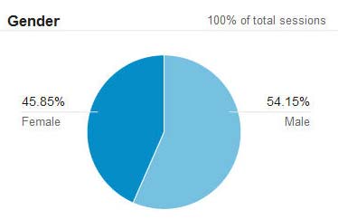 gender of visitors gender