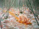 Artwork by Marine Karbowski Artwork by Marine Karbowski