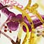 Rhizome 1